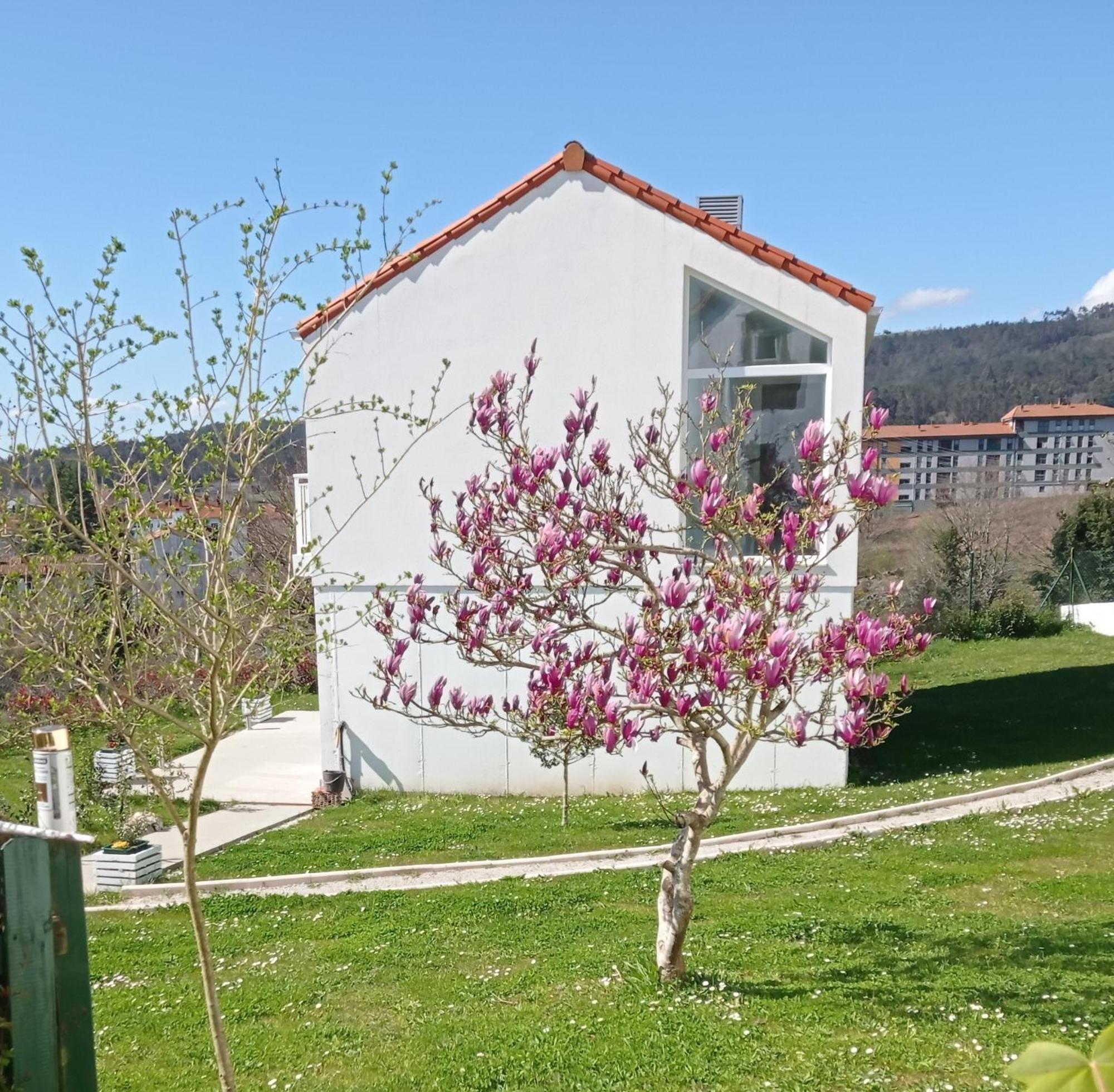 Casas Turisticas Lar Jardin - Parking Privado Santiago de Compostela Bagian luar foto