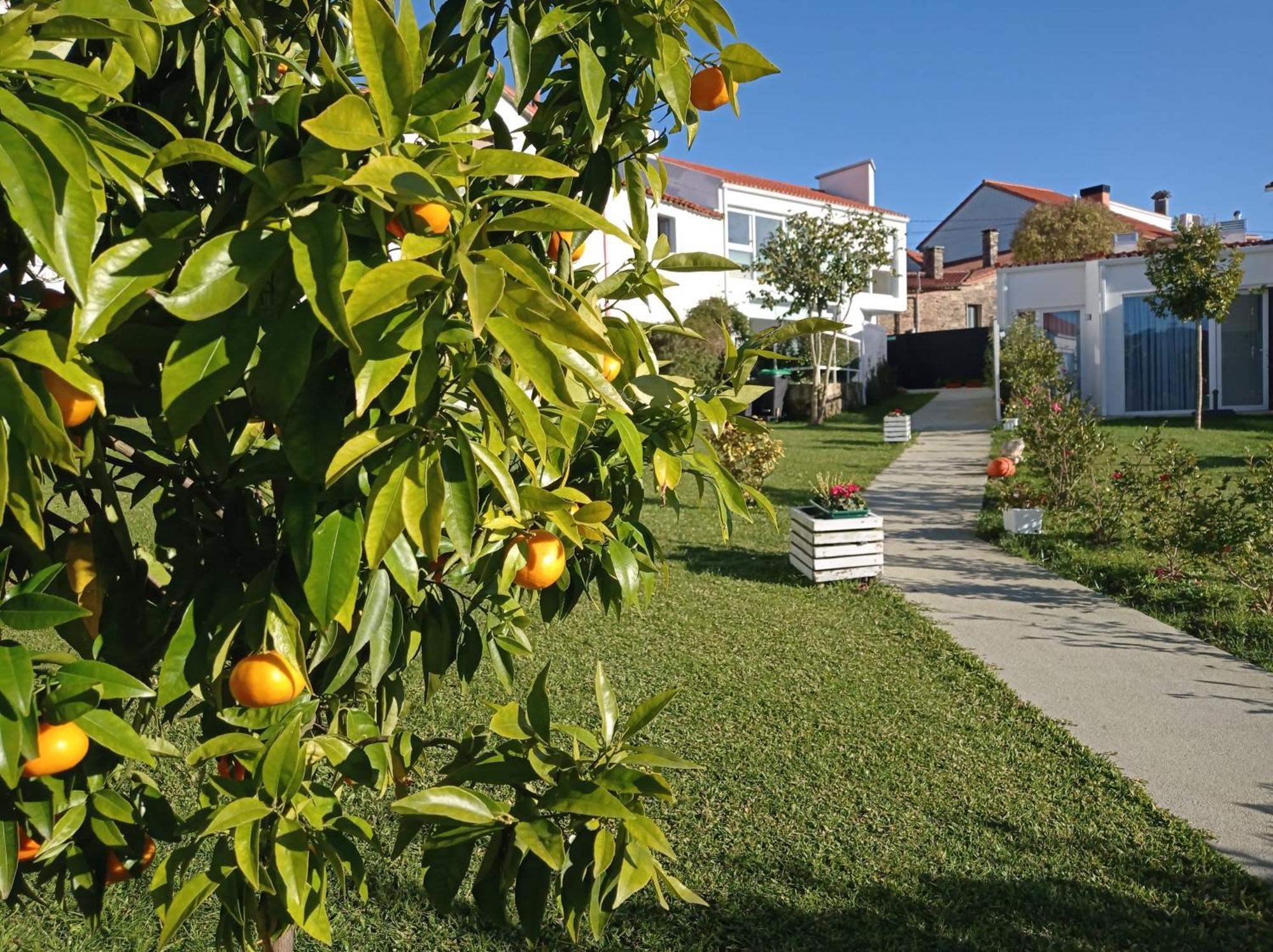 Casas Turisticas Lar Jardin - Parking Privado Santiago de Compostela Bagian luar foto